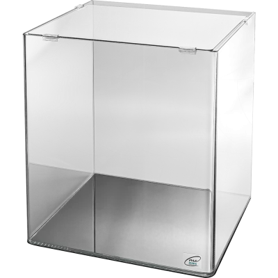 60 Liter Glasbecken von me Aquaristic für immersive Unterwasserwelten und Fischschwärme.