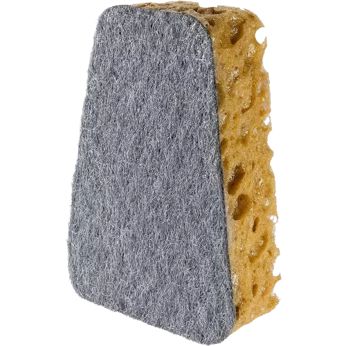 Effektive Reinigung ohne Kratzer: Scrubby Steve löst Punktalgen und Schmieralgen mühelos von der Scheibe.